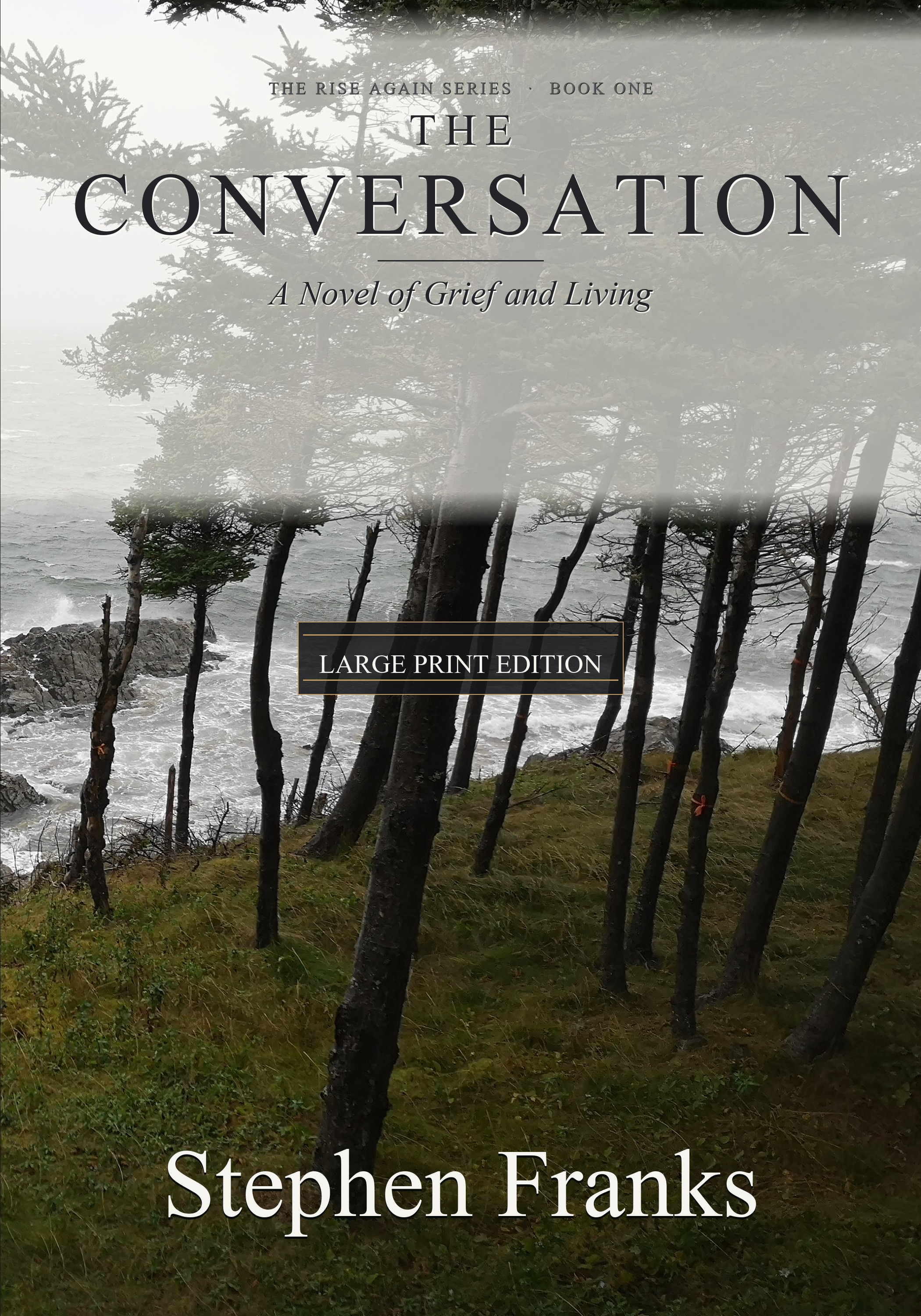 Large Print Paperback cover