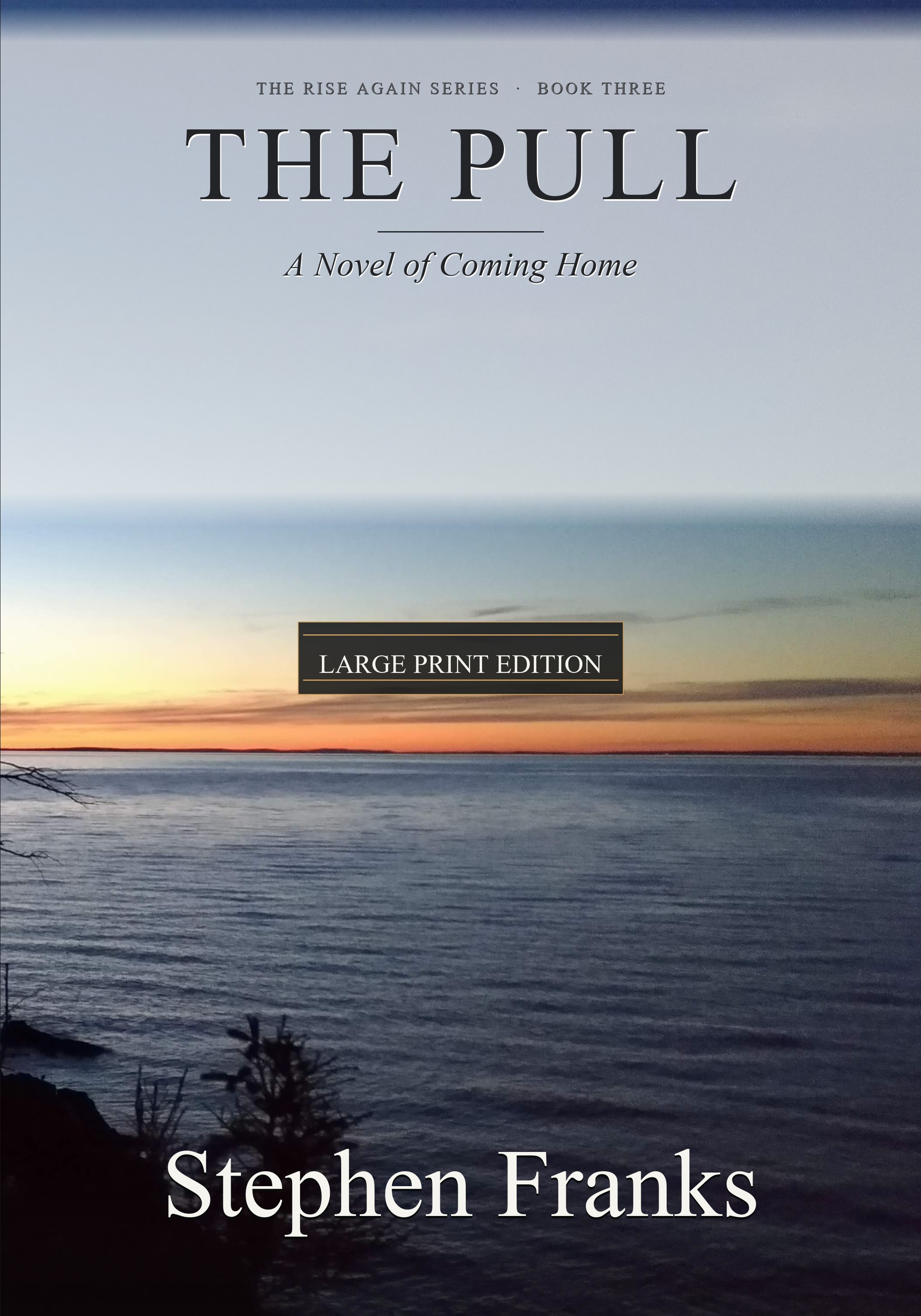 Large Print Paperback cover