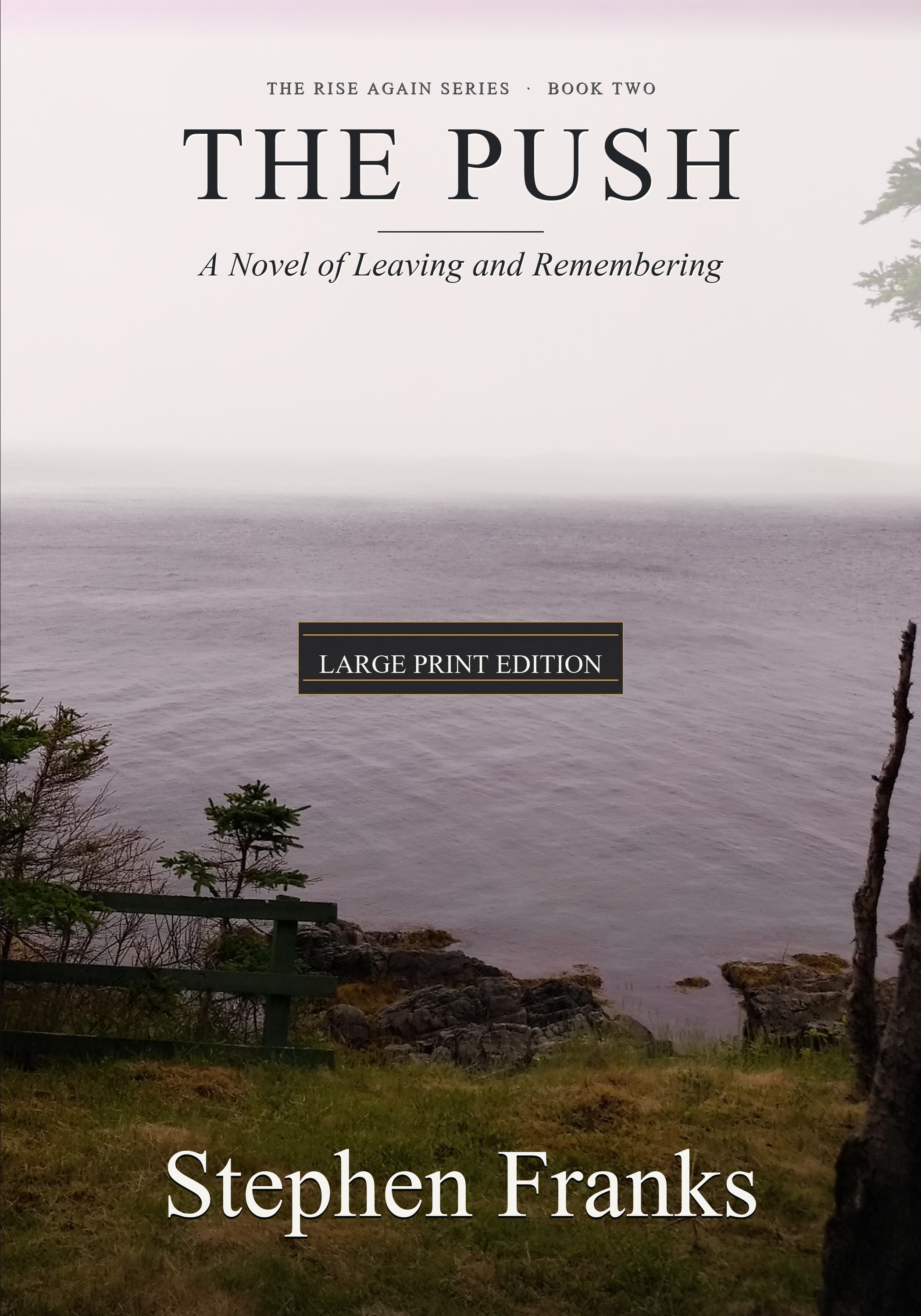 Large Print Paperback cover